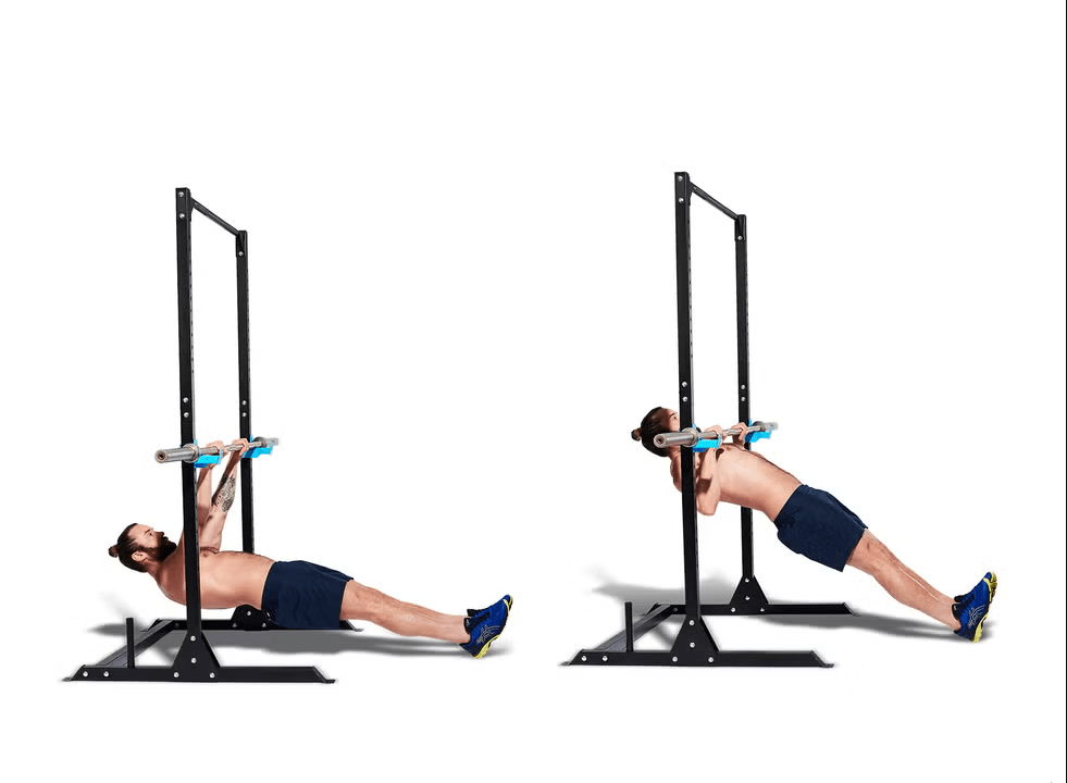 Close-grip Inverted Row (bài tập chèo thuyền)